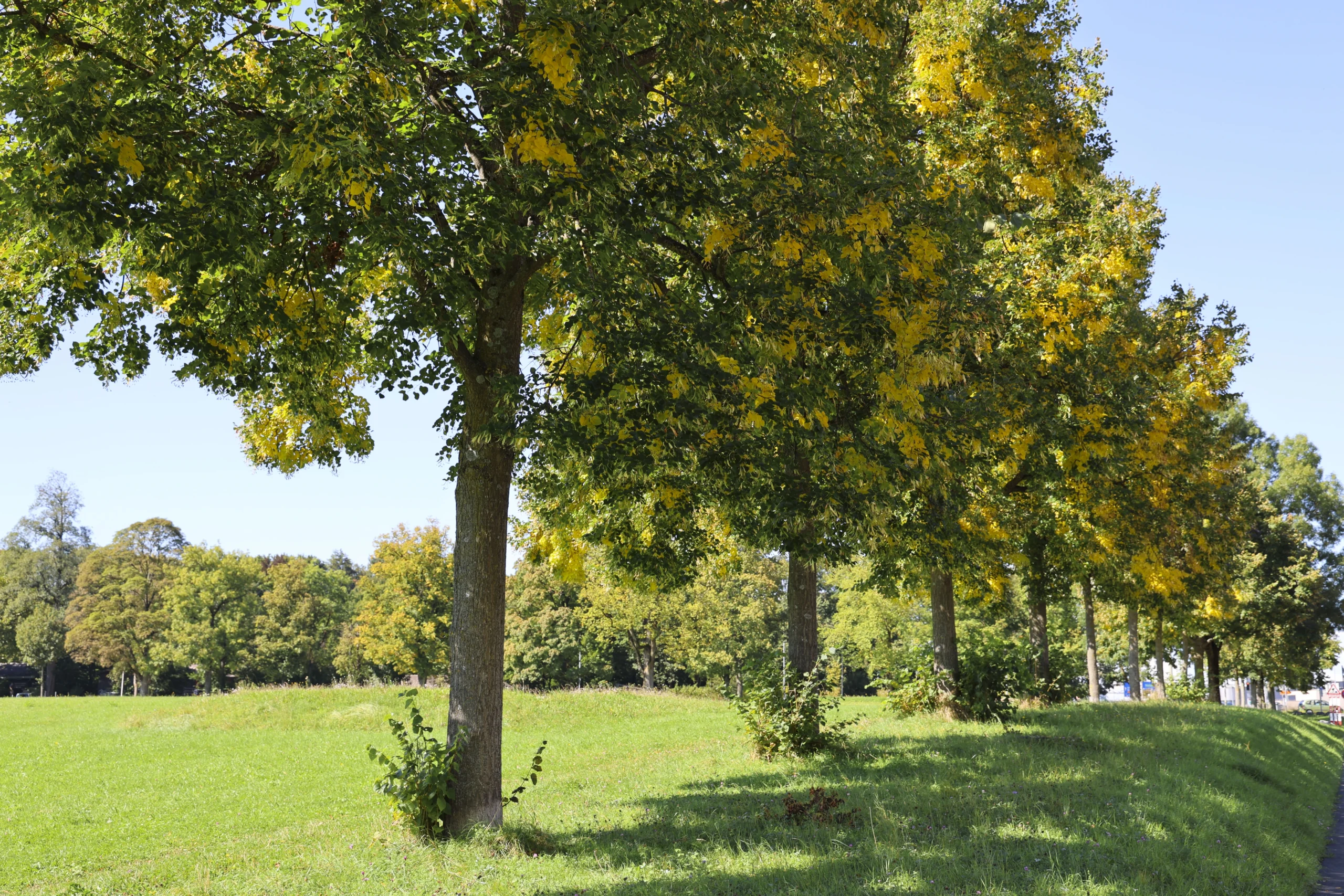 Flexx22 Studios : Video Producer and Filmmaker based in Bern, Switzerland