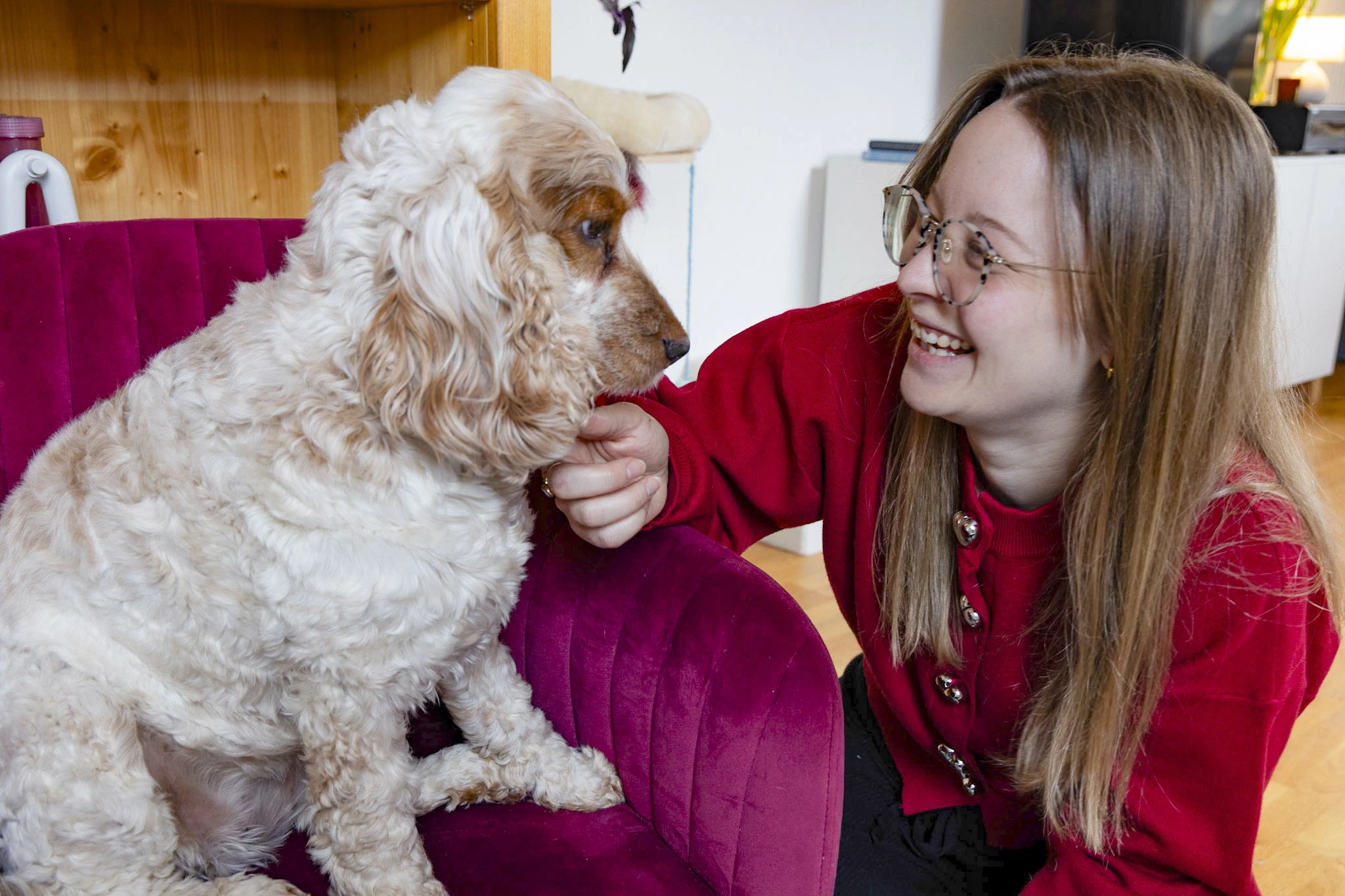 Flexx22 Studios : Video Producer and Filmmaker based in Bern, Switzerland